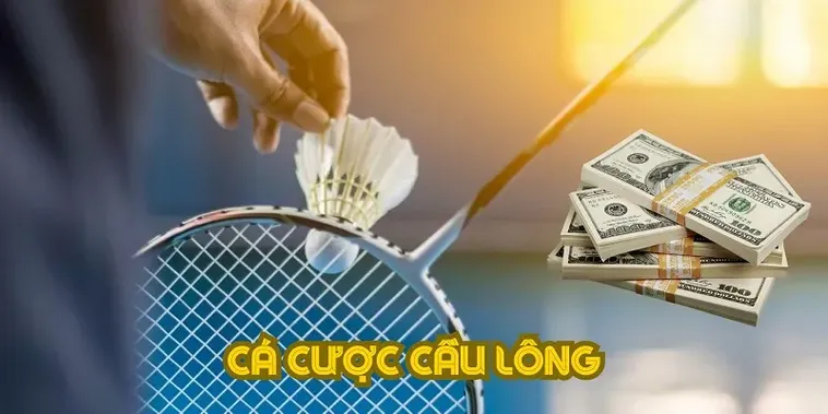 Cách Chơi Cá Cược Cầu Lông Tại BK8 Hấp Dẫn Nhất