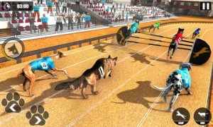 Hướng Dẫn Chơi Game Đua Chó BK8 Nhanh Thắng Lớn