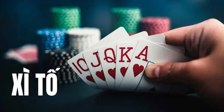 Trò Chơi Xì Tố Tại BK8 - Đỉnh Cao Giải Trí Cá Cược